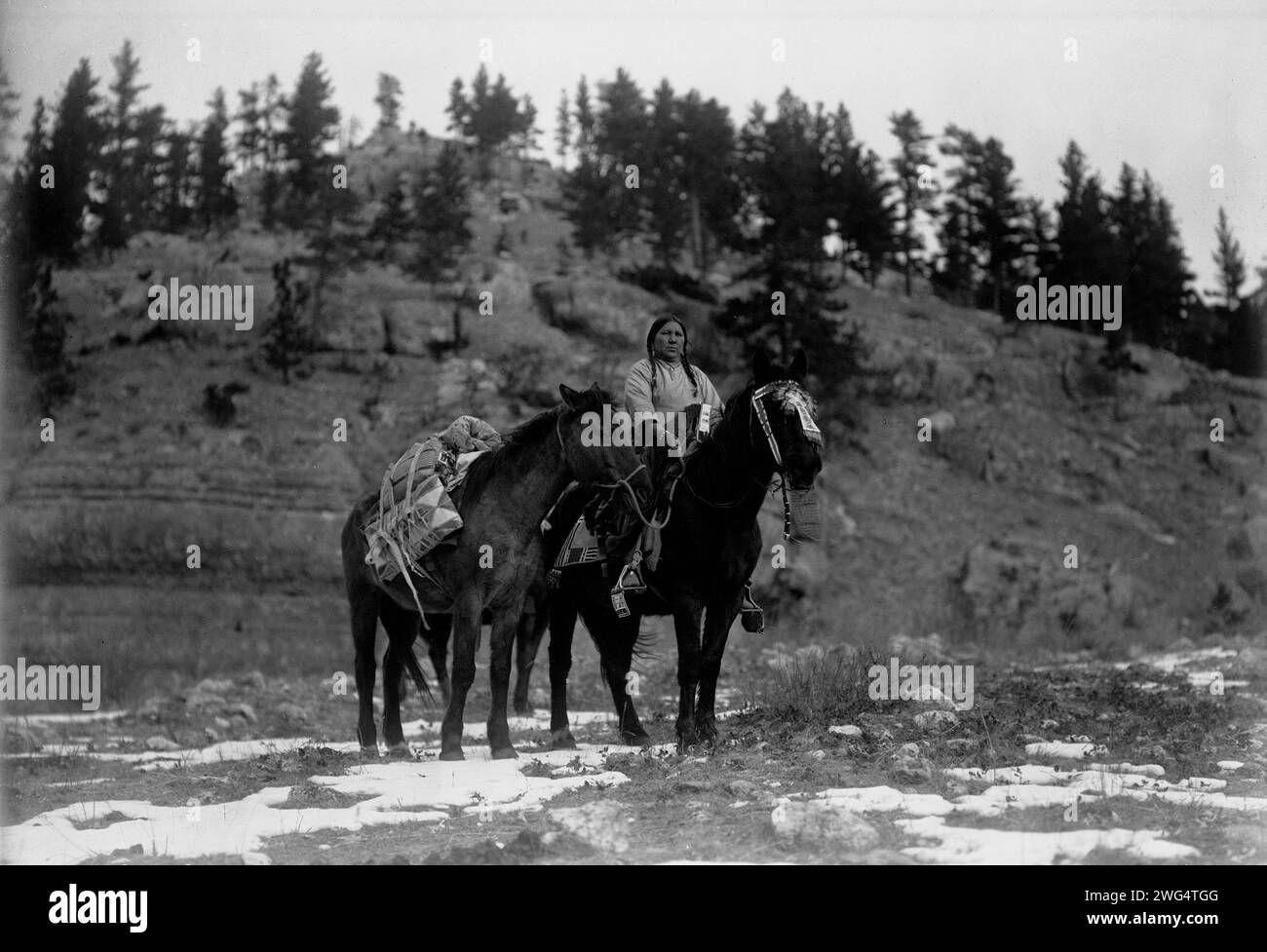 Paquet cheval [c.-à-d. paquet cheval]-Apsaroke, c1908. Femme Apsaroke à cheval, packhorse à côté d'elle. Banque D'Images