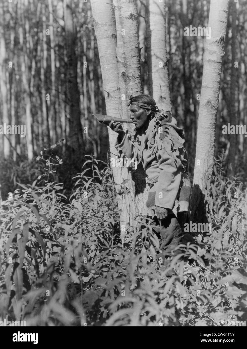Appeler un orignal-cri, c1927. Homme cri dans les bois soufflant corne. Banque D'Images