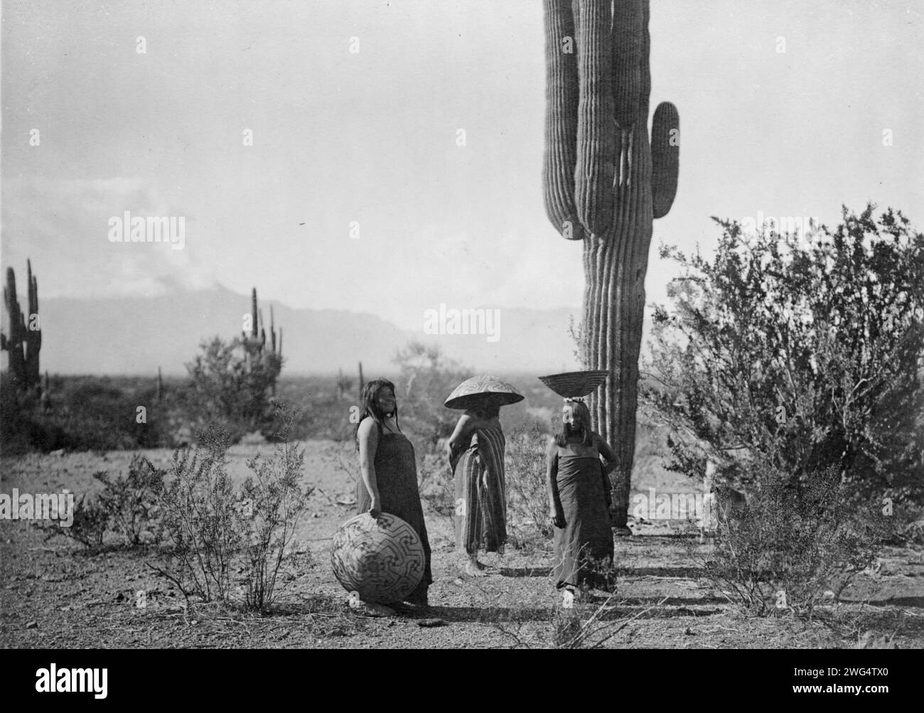 Saguaro fruit Gatherers-Maricopa, c1907. Trois femmes, dont deux avec des paniers sur la tête, debout près de l'usine de cactus, Arizona. Banque D'Images