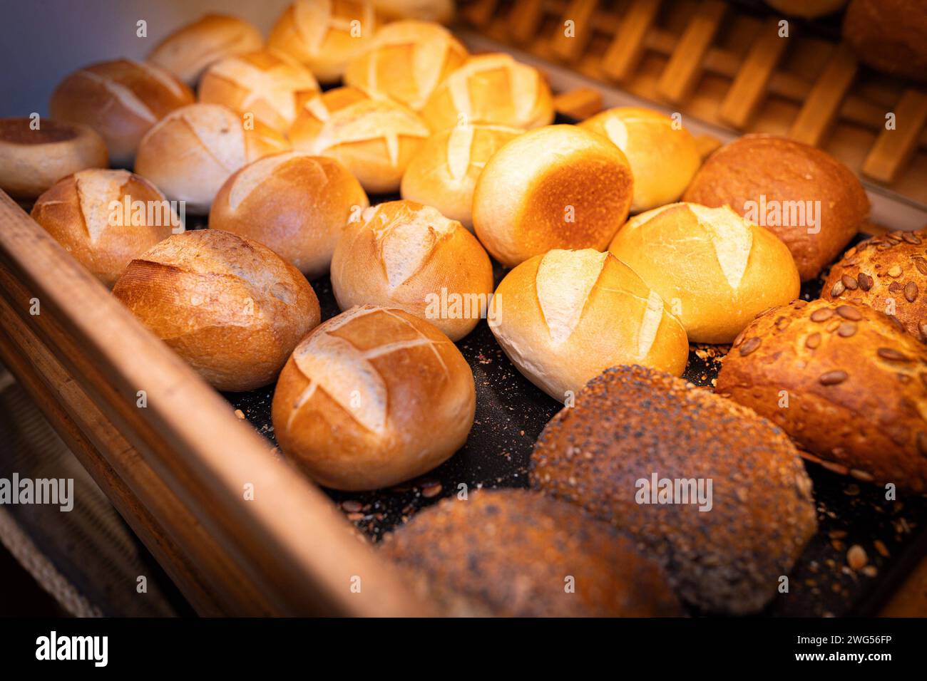 Deutschland 31. Janvier 2024 : In einem Bäckerladen eines Handwerksbäckers liegen frisch gebackene Brötchen, Sonntagsbrötchen für den Verkauf an die Kunden in einem Regal. Landkreis Osnabrück Niedersachsen *** Allemagne 31 janvier 2024 dans une boulangerie d'un artisan boulanger, petits pains fraîchement cuits, petits pains du dimanche à vendre aux clients, se trouvent sur une étagère dans le district de Osnabrück Basse-Saxe Copyright : xFotostandx/xGelhotx Banque D'Images