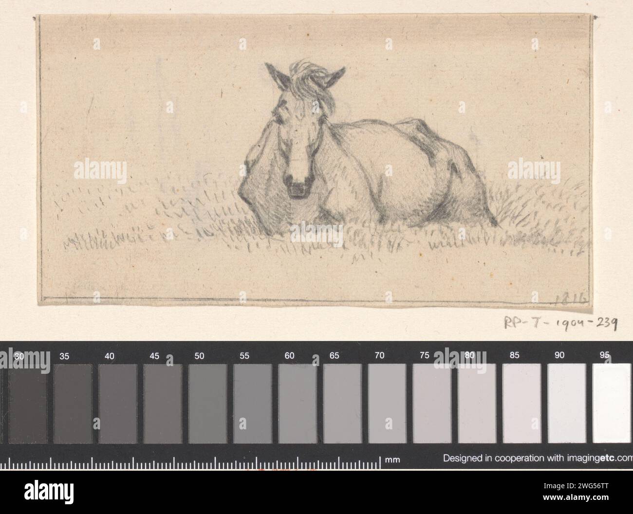 Cheval couché, Jean Bernard, 1816 papier à dessin. crayon. cheval de craie Banque D'Images