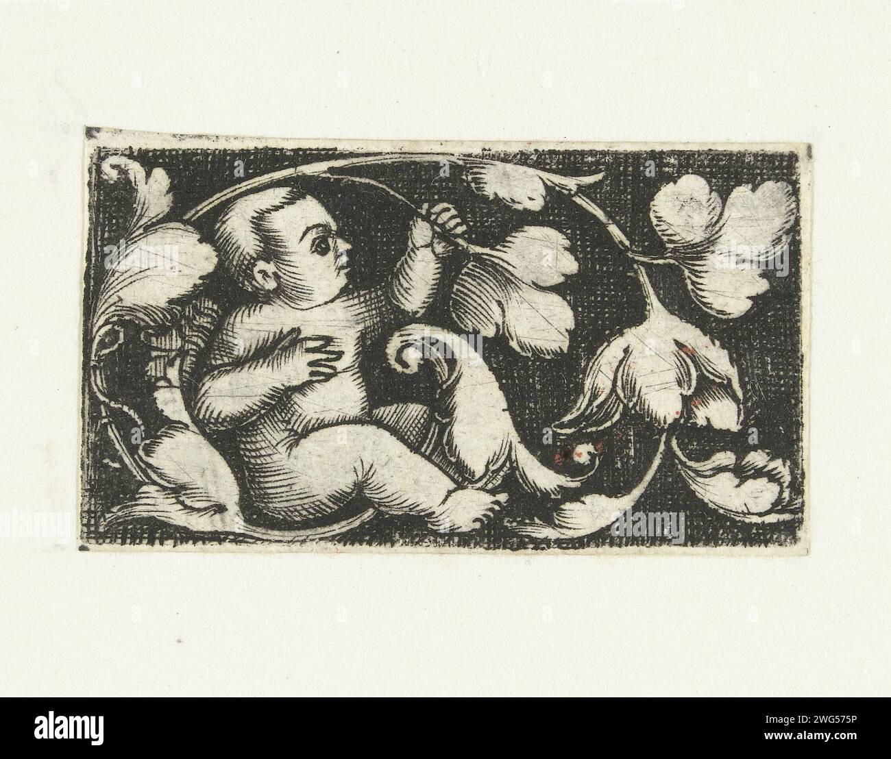 Friesje avec un enfant, c. 1500 - c. 1600 imprimer l'enfant est assis contre et sous une étagère à feuilles. Arrière-plan ombré. Allemagne (éventuellement) gravure sur papier Banque D'Images