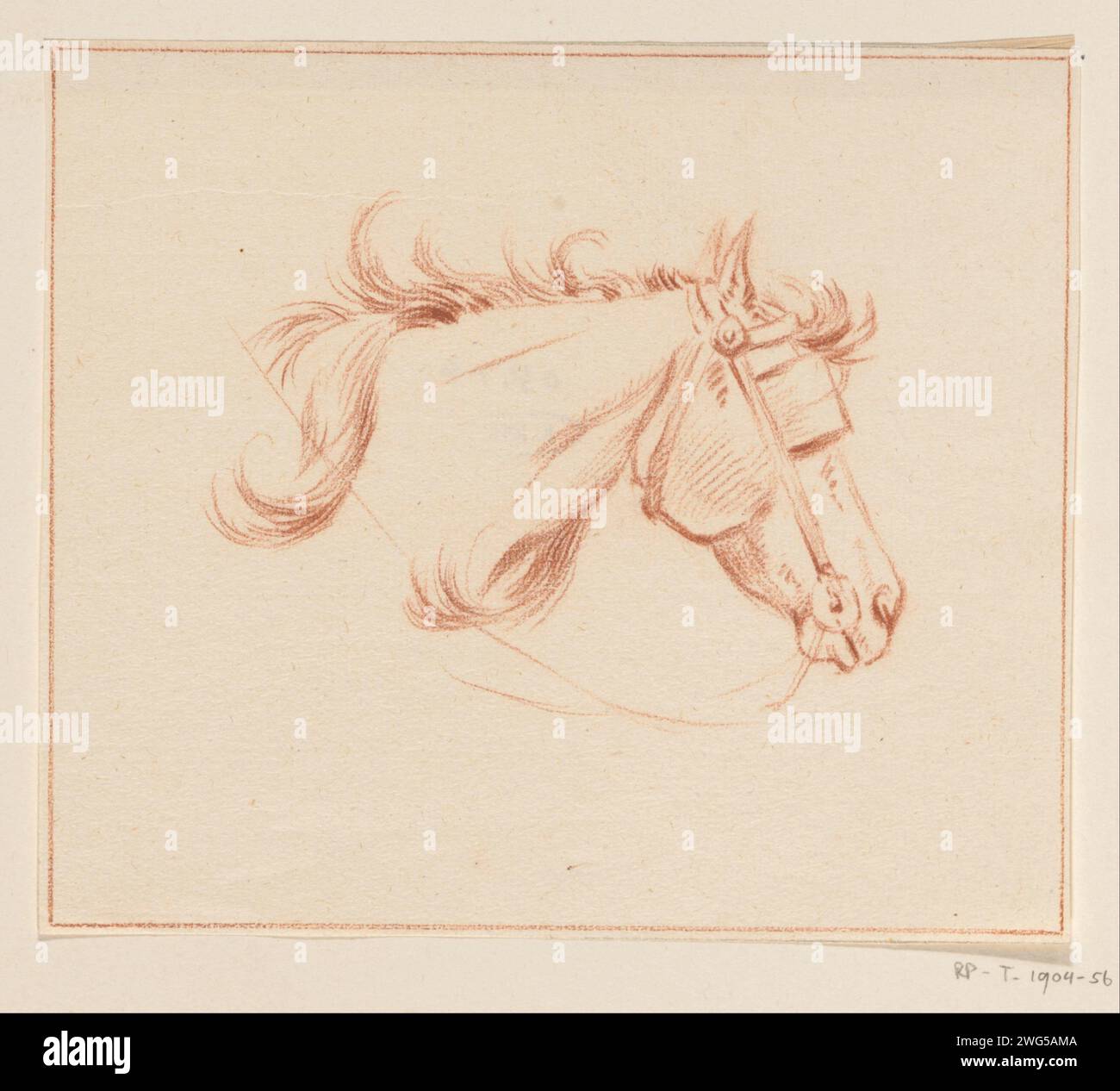 Hanches d'un cheval, Jean Bernard, 1775 - 1833 papier à dessin. cheval de craie Banque D'Images