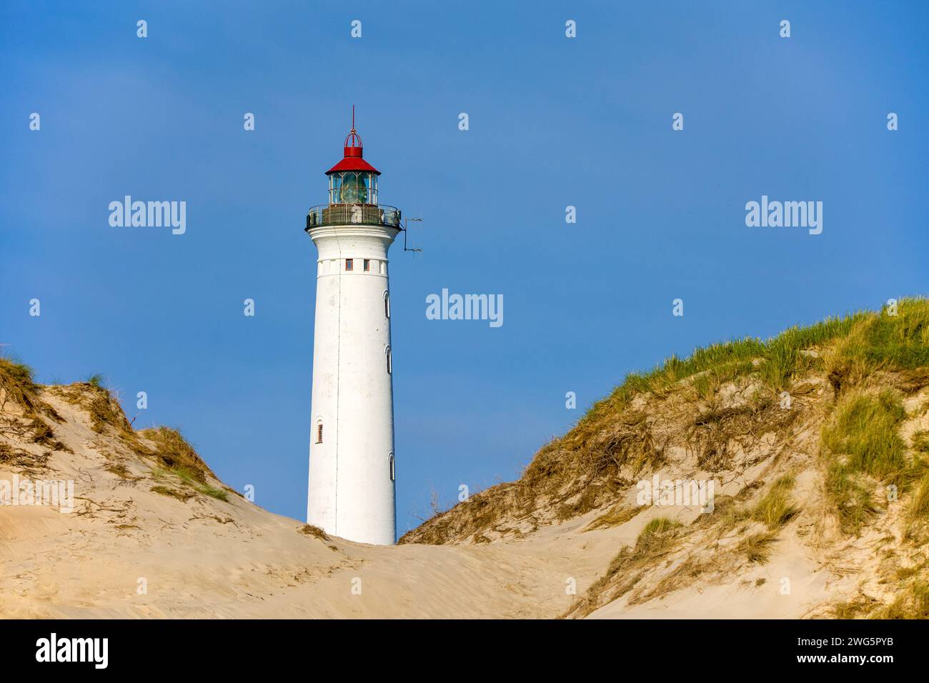 Phare Lyngvig Fyr sur la côte du danemark Banque D'Images