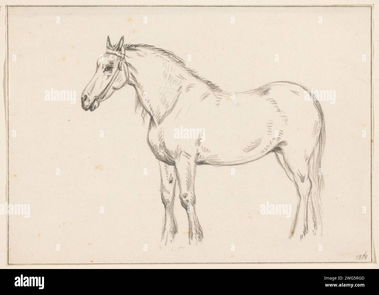Cheval debout, à gauche, Jean Bernard, 1818 papier à dessin. cheval de craie Banque D'Images