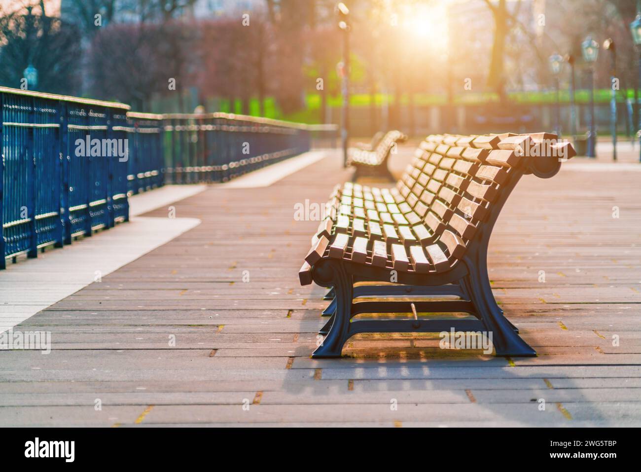 Banc de parc vide sous un arbre dans un cadre naturel paisible Banque D'Images