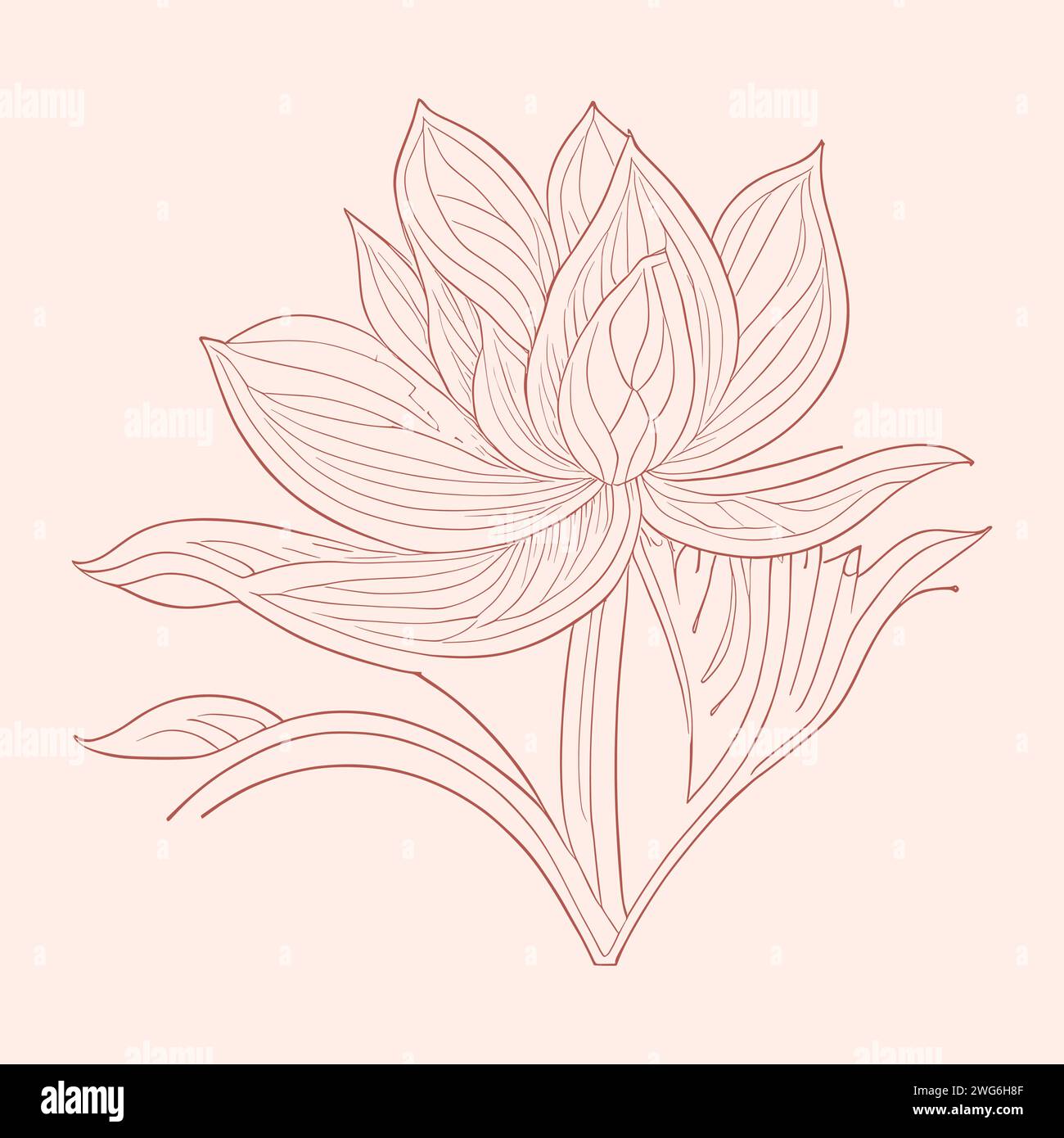 Symbole d'art de ligne de fleur de lys de lotus botanique dessiné à la main. Illustration vectorielle de logo de contour floral. Illustration de Vecteur
