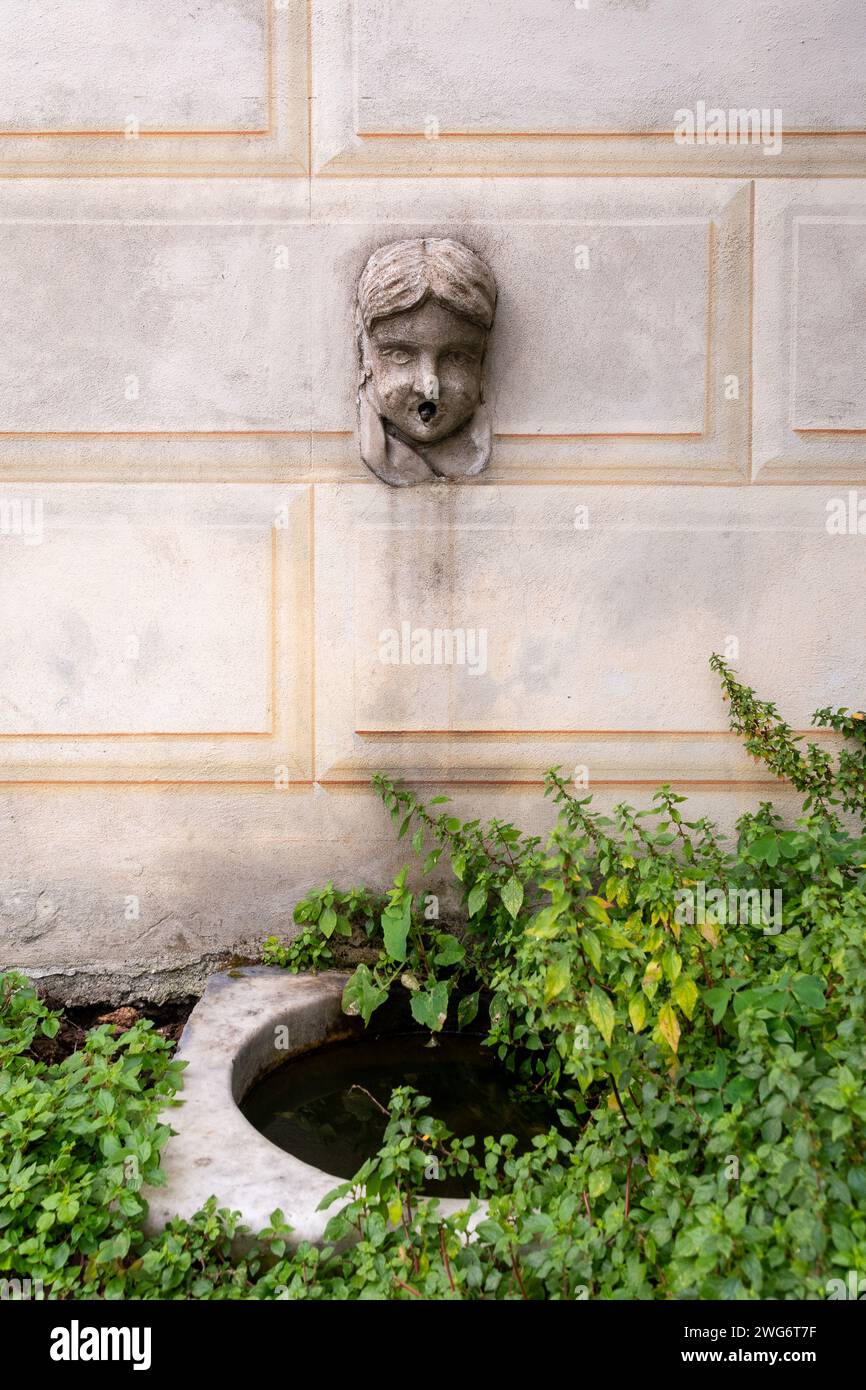 Détail d'une ancienne fontaine murale avec un robinet en forme de tête sculpté dans la pierre et un évier en marbre blanc entre les plantes sauvages, Italie Banque D'Images