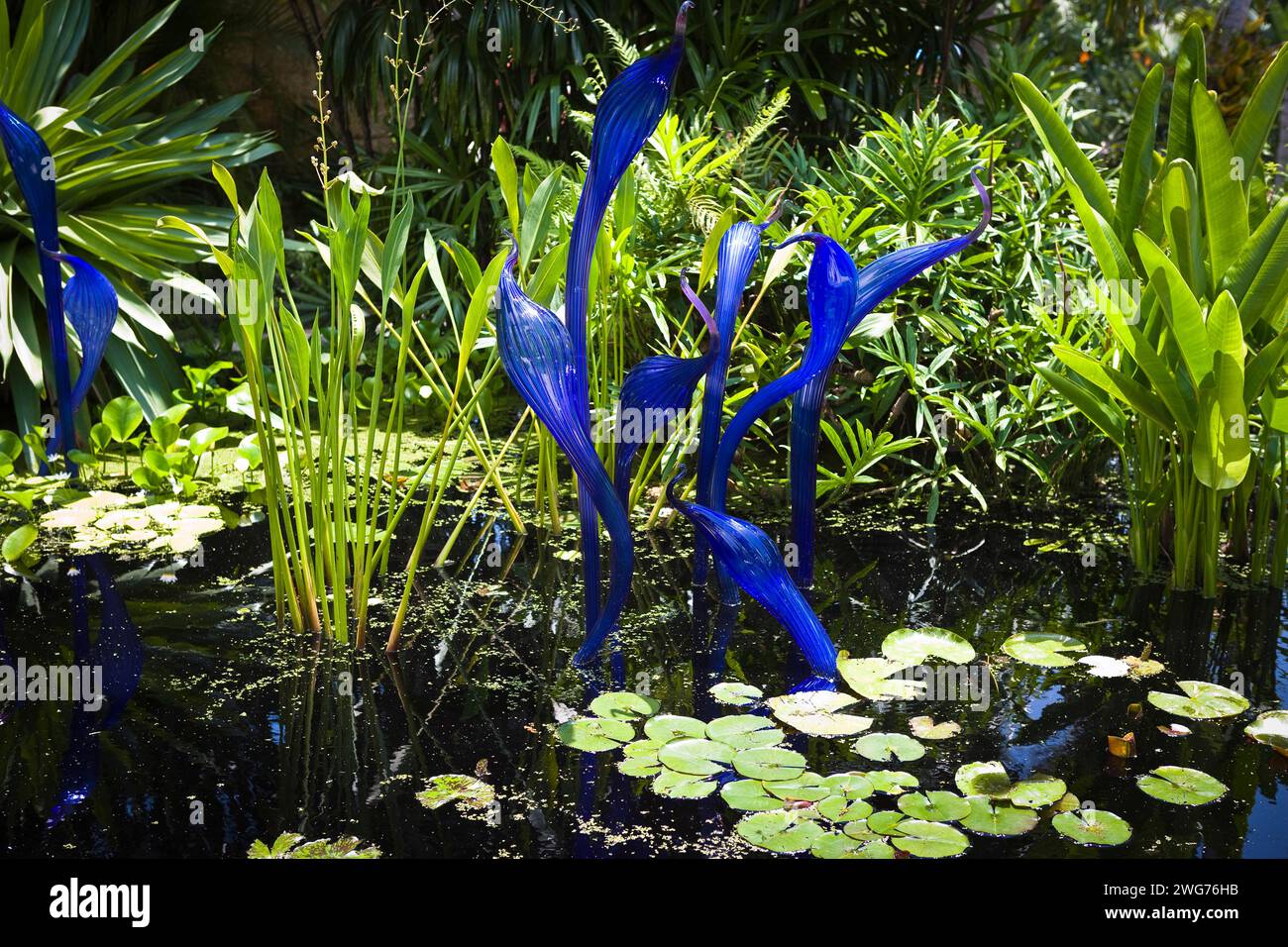 Verre soufflé de Dale Chihuly Cobalt Herons au Fairchild Tropical Botanic Garden, Miami, Floride, États-Unis Banque D'Images