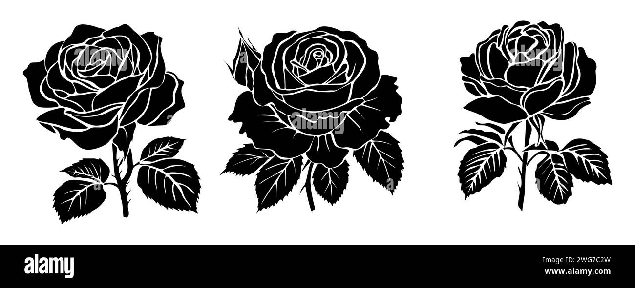 Ensemble de silhouettes noires de vecteur rose frais. Illustration de Vecteur