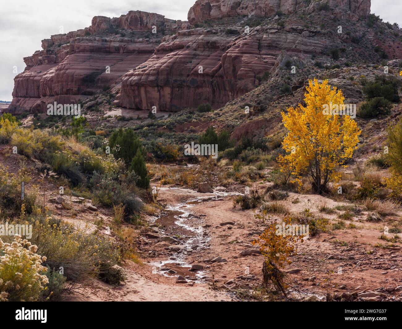 États-Unis, État de l'Utah. Grand County. Mill Canyon Dinosaur Trail, près de Moab. C'est un musée en plein air maintenu par le Bureau of Land Management, et est Banque D'Images