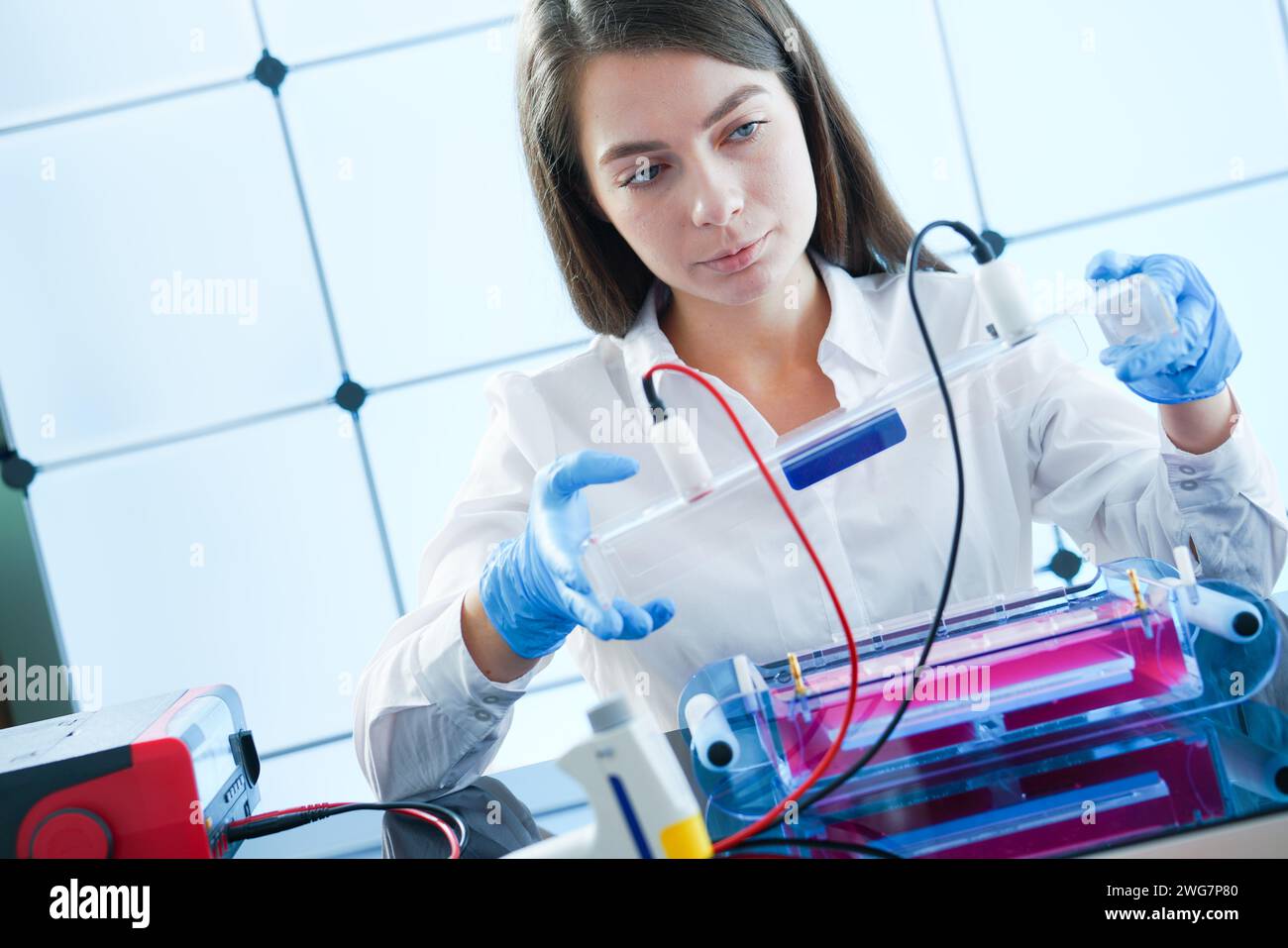 Femme scientifique menant la recherche en santé en laboratoire Banque D'Images