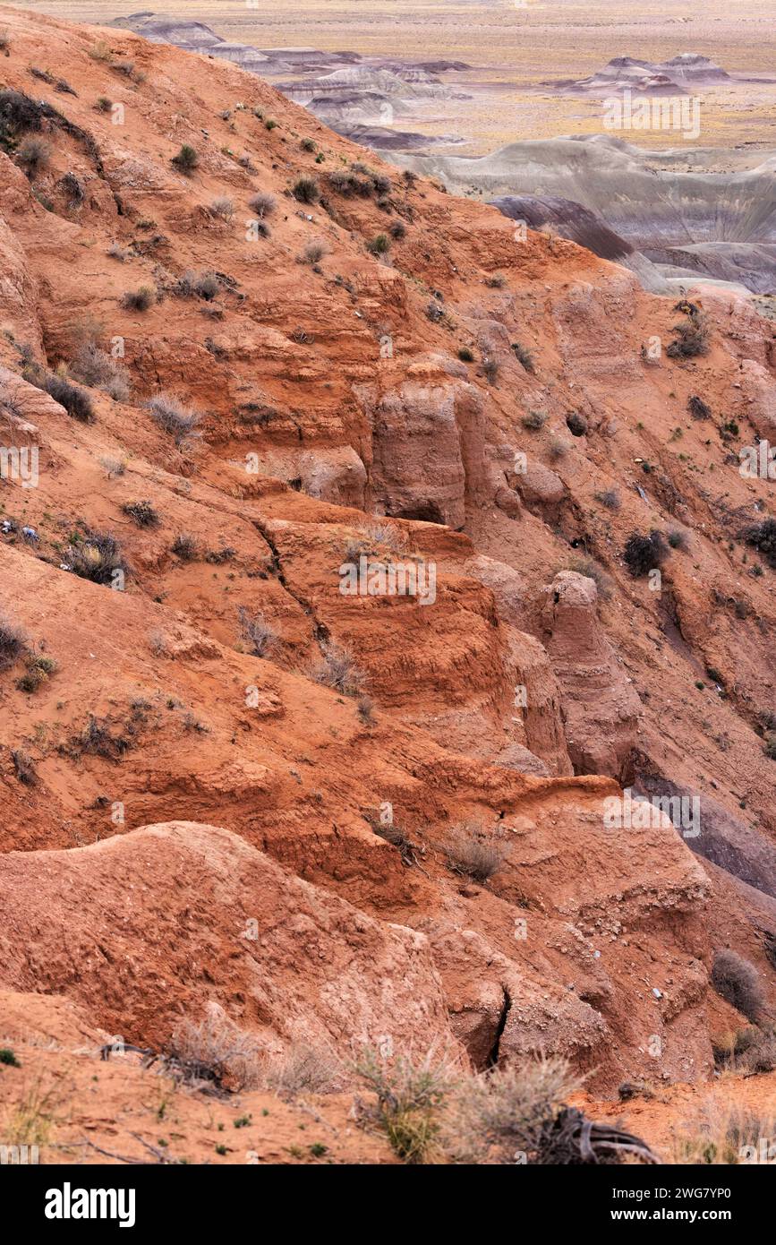 Des déosites colorés du Formaton de Chinle exposés au Little Painted Desert County Park près de Winslow, Arizona Banque D'Images
