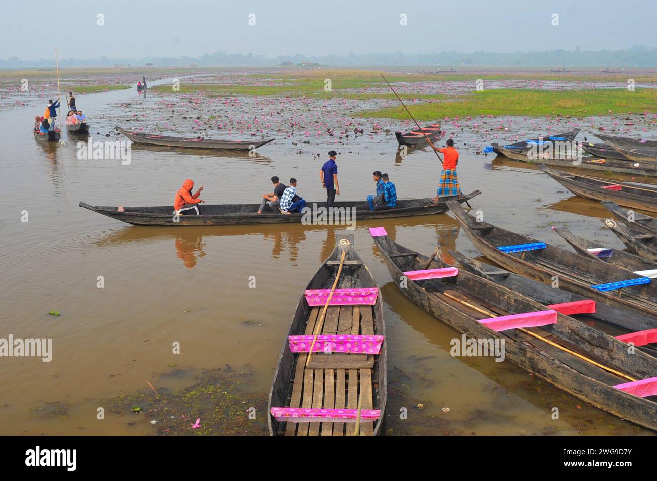 03 février 2024 Sylhet, Bangladesh : visiteurs profitant d'une promenade en bateau dans la matinée brumeuse d'hiver à Jaintapur upazila Dibir Haor de Sylhet, Bangladesh. Dibir Haor est connu comme le Royaume de Shapla (nénuphars rouges) pour les voyageurs. Ici, au début de la saison hivernale, de nombreuses fleurs de nénuphars rouges (Shapla) ont fleuri dans ce Haor qui se trouve au bord des collines de Meghalaya. Le 03 février 2024 Sylhet, Bangladesh (crédit image : © MD Rafayat Haque Khan/eyepix via ZUMA Press Wire) USAGE ÉDITORIAL SEULEMENT! Non destiné à UN USAGE commercial ! Banque D'Images