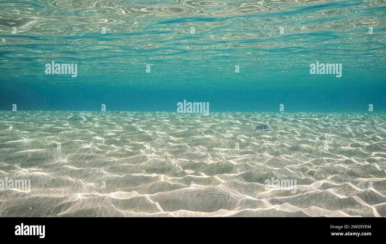 Eau sablonneuse peu profonde en rafale et reflet sur le sable des fonds marins. La lumière du soleil traverse la surface de l'eau turquoise et des reflets sur fond sablonneux dans peu profond Banque D'Images