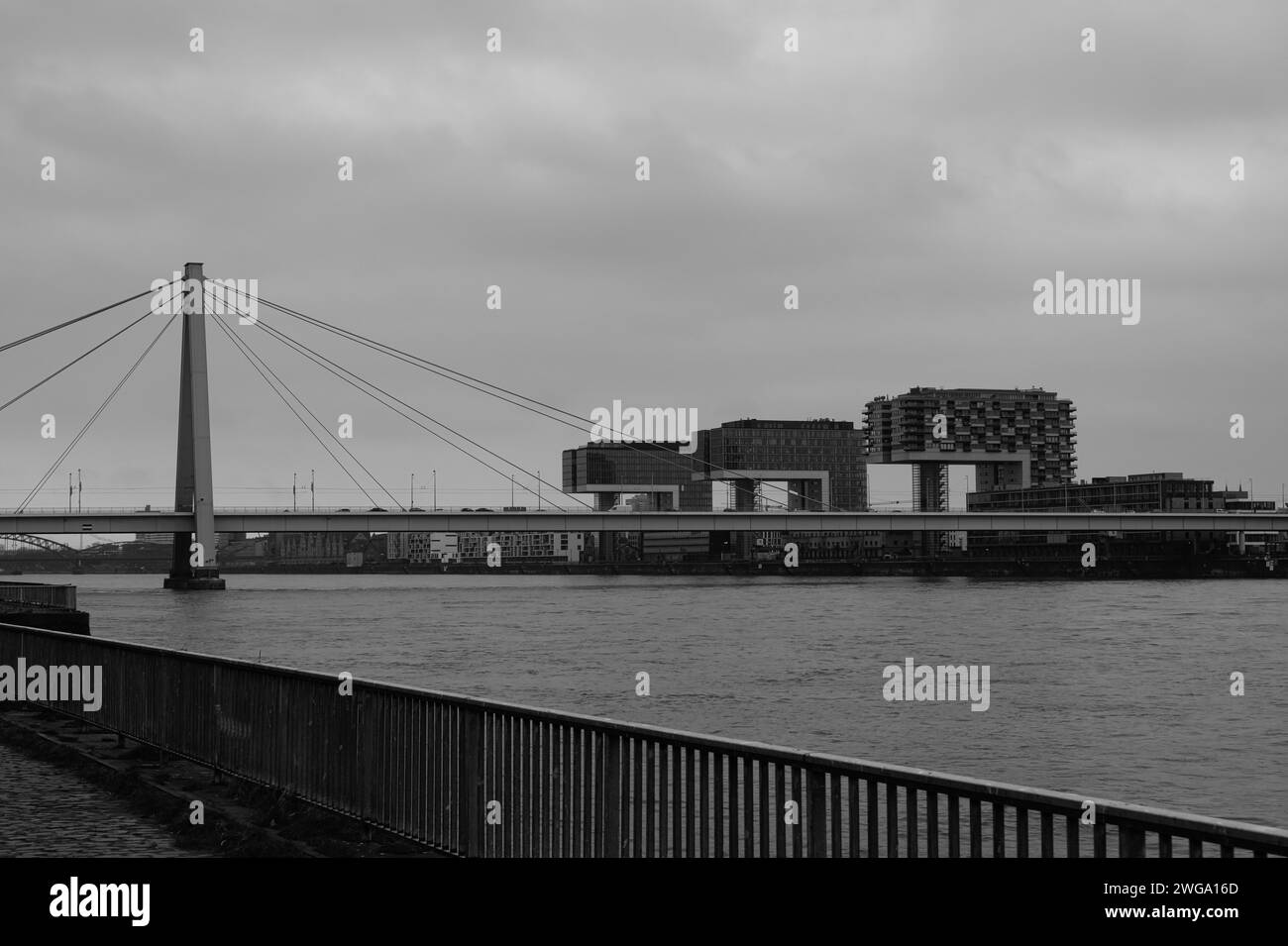 Vue sur le Rhin avec grues, Cologne, Allemagne Banque D'Images
