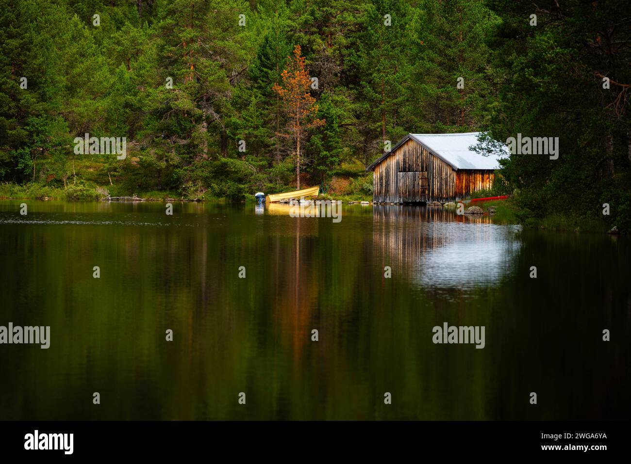 Bateaux couchés sur le rivage à côté d'un hangar à bateaux sur un lac, paysage, format paysage, réflexion de l'eau, atmosphérique, Tynset, Innlandet, Norvège Banque D'Images