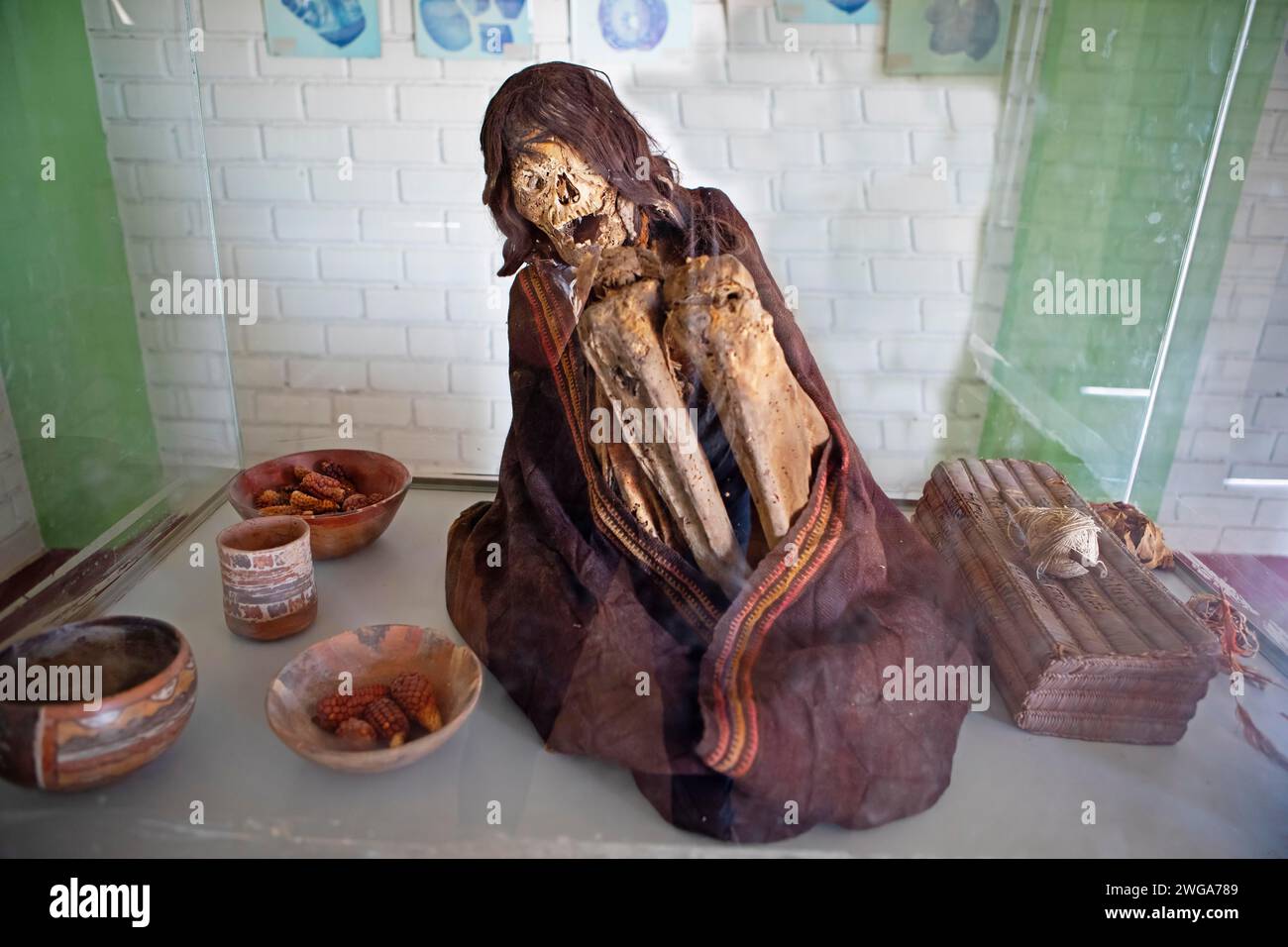 Momie dans une vitrine, cimetière de Chauchilla ou cimetière du désert, région d'ICA, province de Nazca, Pérou Banque D'Images