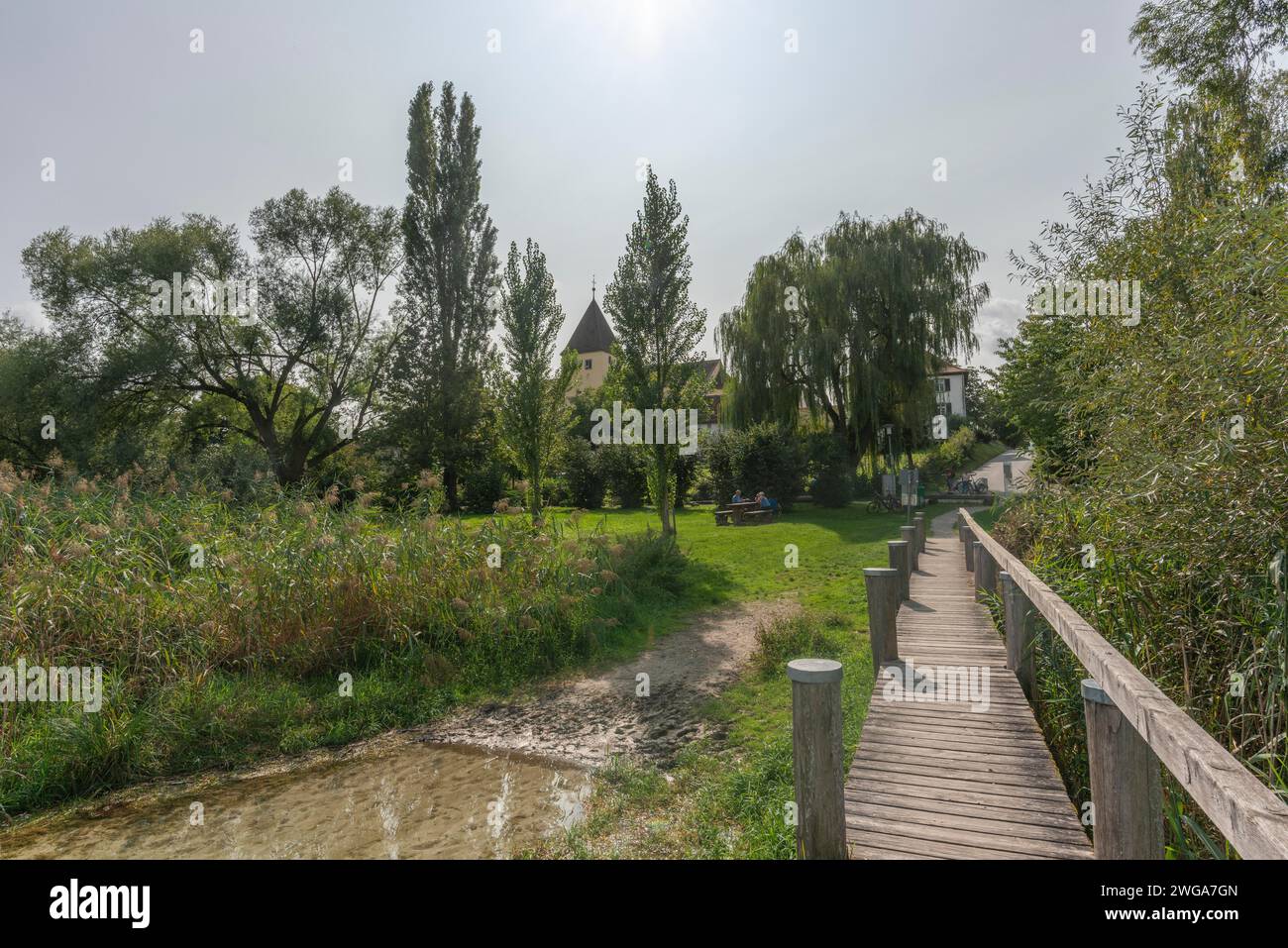 Oberzell, île de Reichenau, église paroissiale St George, site classé au patrimoine mondial de l'UNESCO, passerelle en bois, banque de roseaux, contre-jour, lac de Constance Banque D'Images