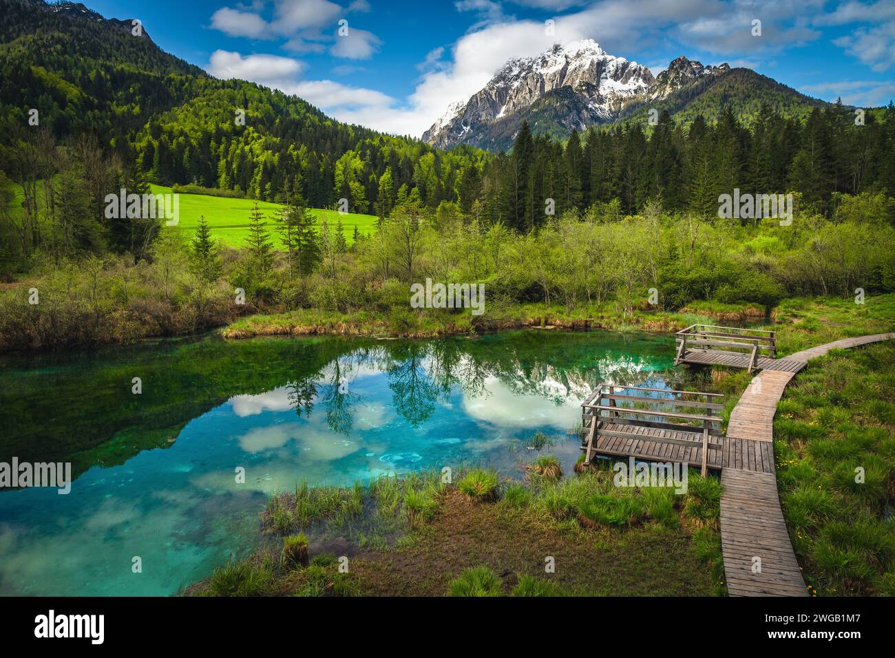 Un des plus pittoresques petits lacs de montagne turquoise de Slovénie. Pont en bois et passerelle près du lac Zelenci, il est la source de la Sava Dolin Banque D'Images