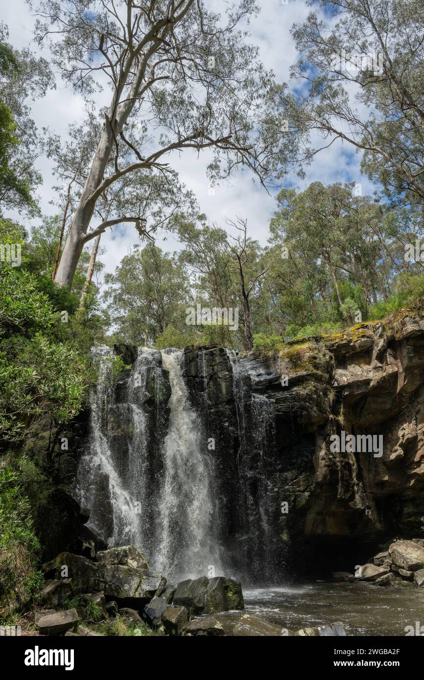 Phantom Falls, sur la rivière St George, parc national de Great Otway, Lorne, Victoria, Australie. Banque D'Images