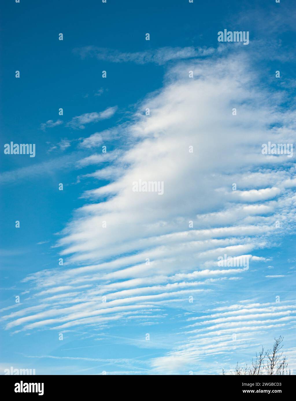 Beaux nuages de vagues, connus sous le nom d'Altocumulus undulatus contre un ciel bleu acier. Banque D'Images