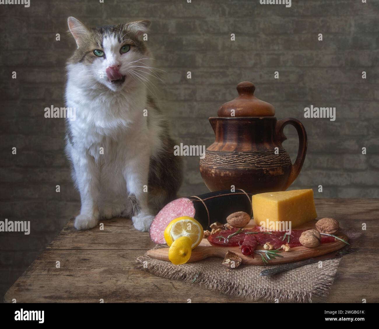 Nature morte avec table de cuisine et chat affamé Banque D'Images