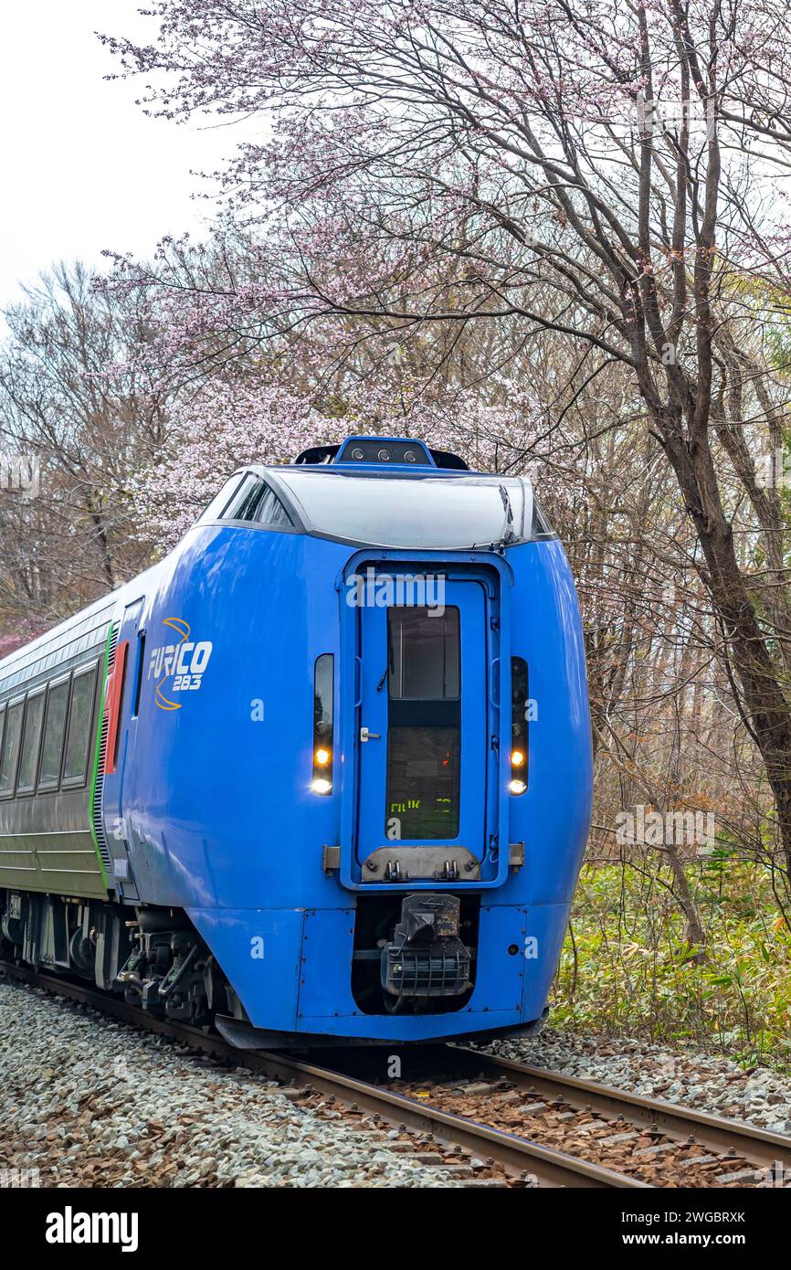 KiHa 283 série inclinable diesel à plusieurs unités train type, exploité par Hokkaido Railway Company (JR Hokkaido) sur des services express limités à Hokkaido Banque D'Images KiHa 283 série inclinable diesel à plusieurs unités train type, exploité par Hokkaido Railway Company (JR Hokkaido) sur des services express limités à Hokkaido Banque D'Images