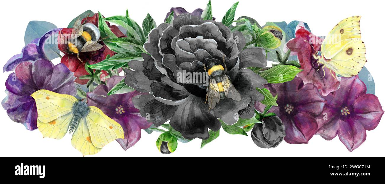 Composition de pétunia de couleur et fleurs de pivoine. Illustration aquarelle Banque D'Images