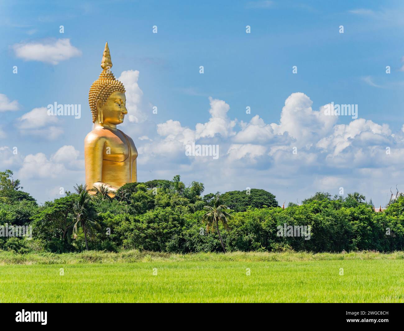 Le Bouddha géant à Wat Muang, Ang Thong, Thaïlande. La statue mesure 92 mètres de haut et a été achevée en 2008 après une période de construction de 18 ans. Banque D'Images