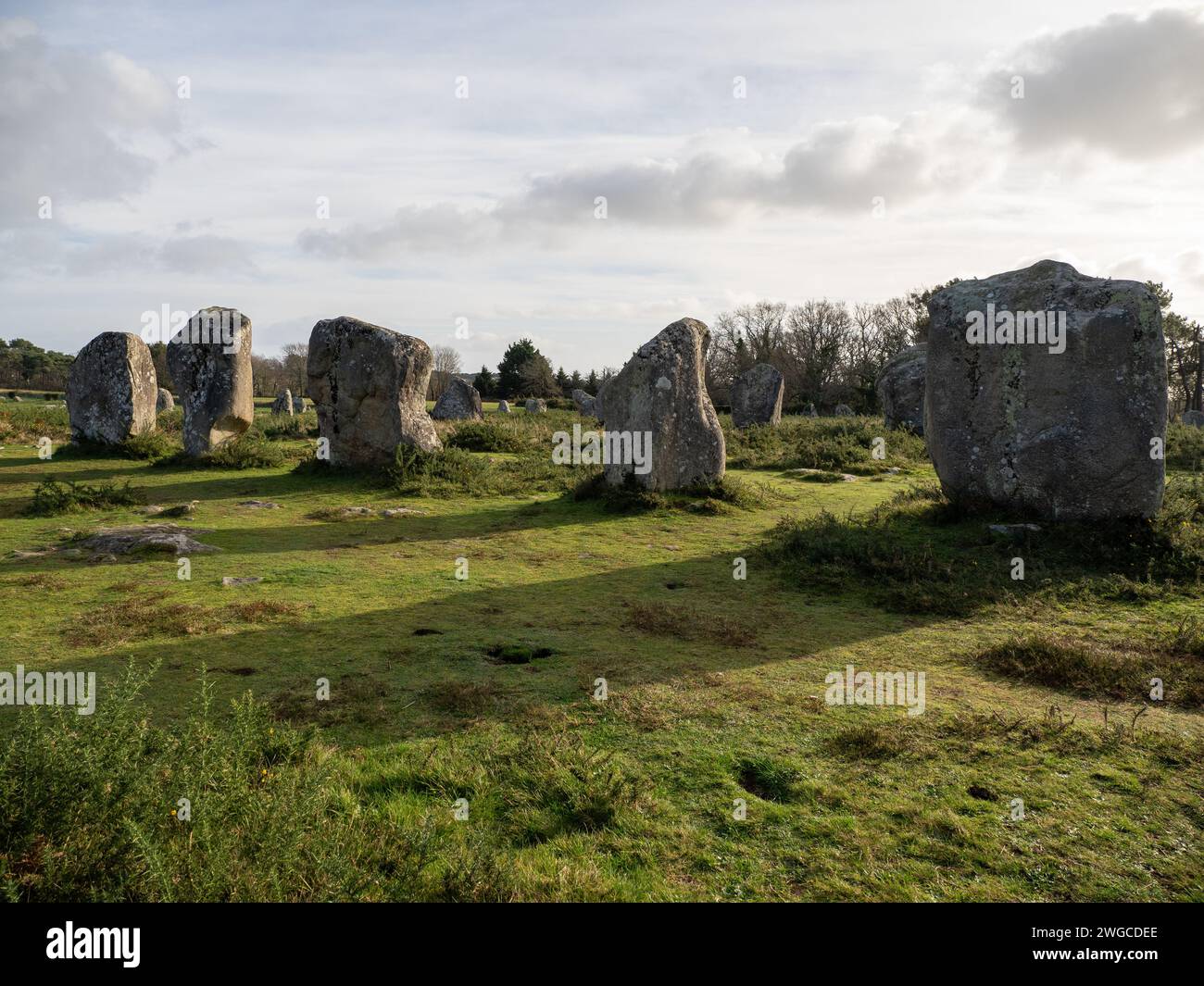 Pierres debout de Kermario près de Carnac, Bretagne, France Banque D'Images