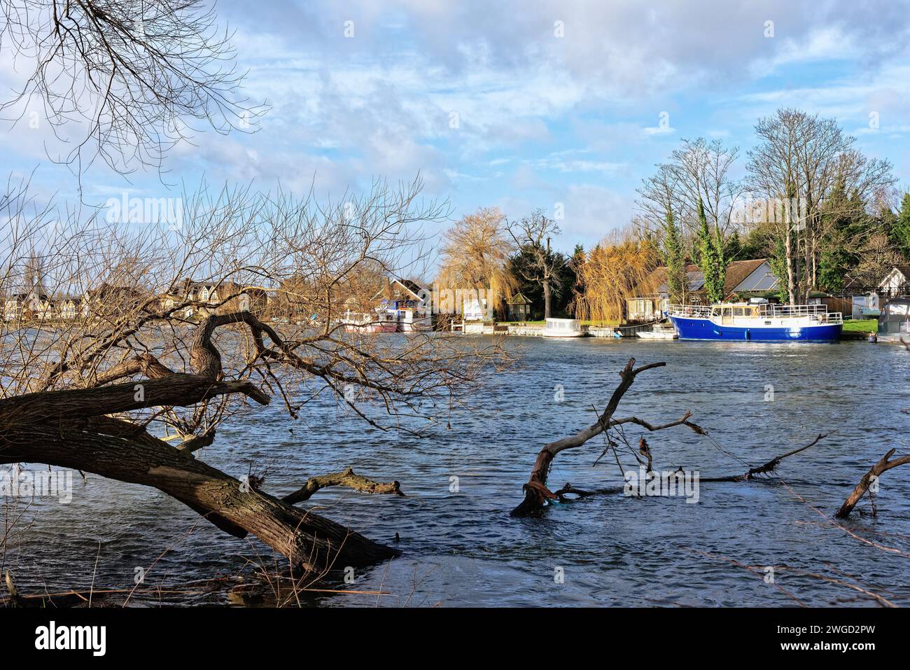Riverside Houses by the River Thames à Shepperton vues depuis Riverbank à Walton un jour d'hiver ensoleillé, Surrey Angleterre Royaume-Uni Banque D'Images