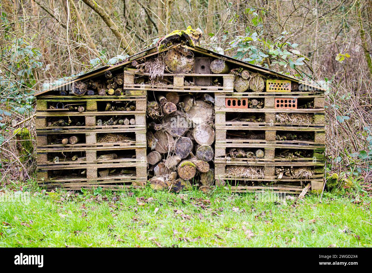 Giant Bug Hotel, abri pour insectes en bois recyclé Banque D'Images