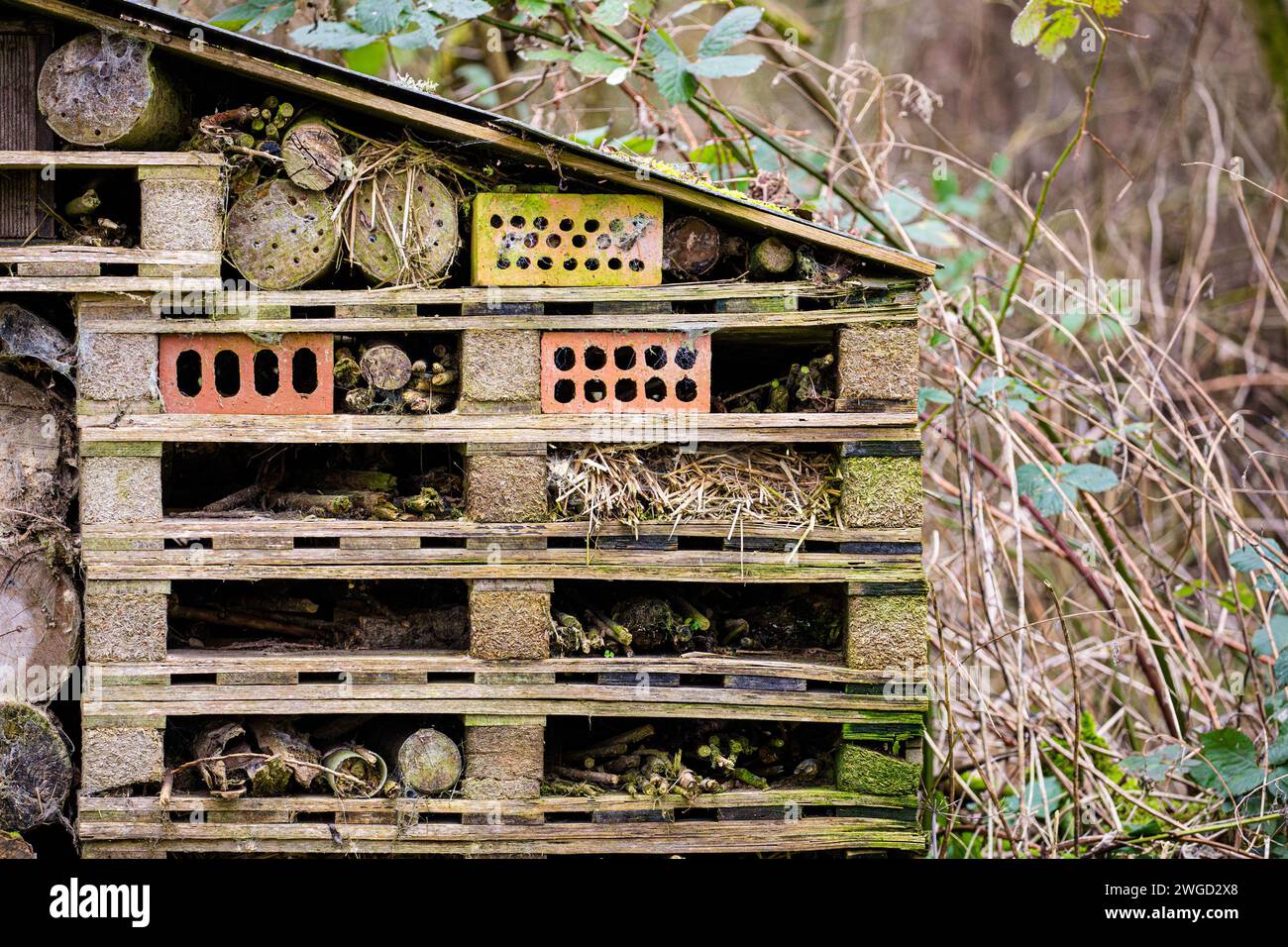 Giant Bug Hotel, abri pour insectes en bois recyclé Banque D'Images