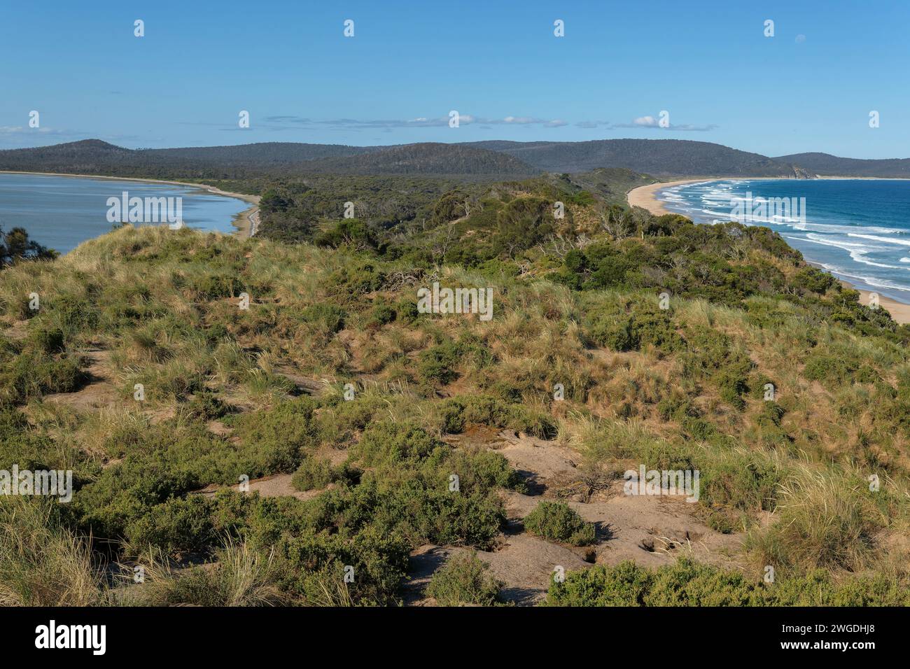 The Neck Game Reserve, tombolo ou isthme rejoignant South Bruny et North Bruny. Vue depuis le belvédère de la réserve de gibier de Neck. Tasmanie Banque D'Images