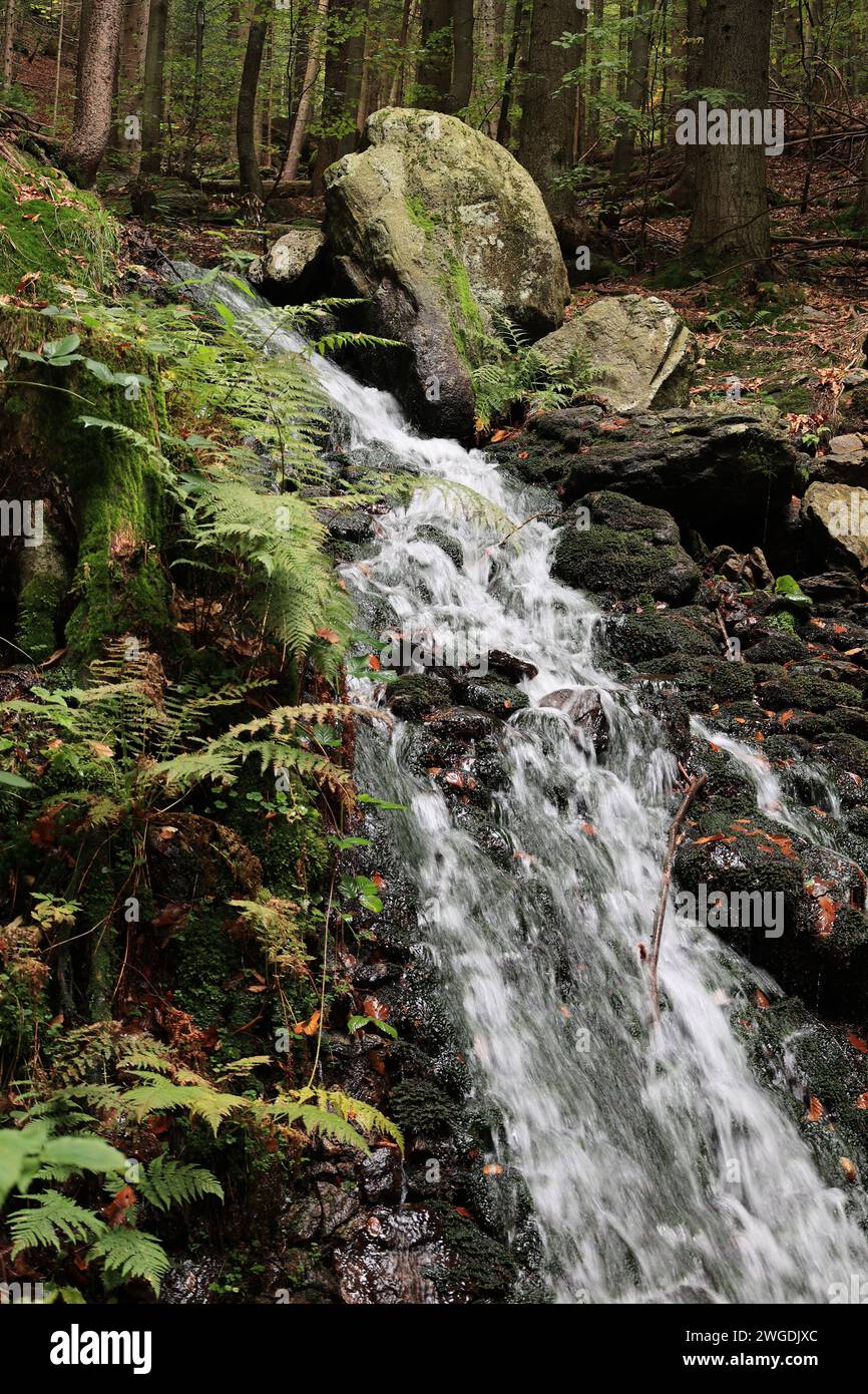 Impressionen aus Bodenmais im Bayerischen Wald Banque D'Images