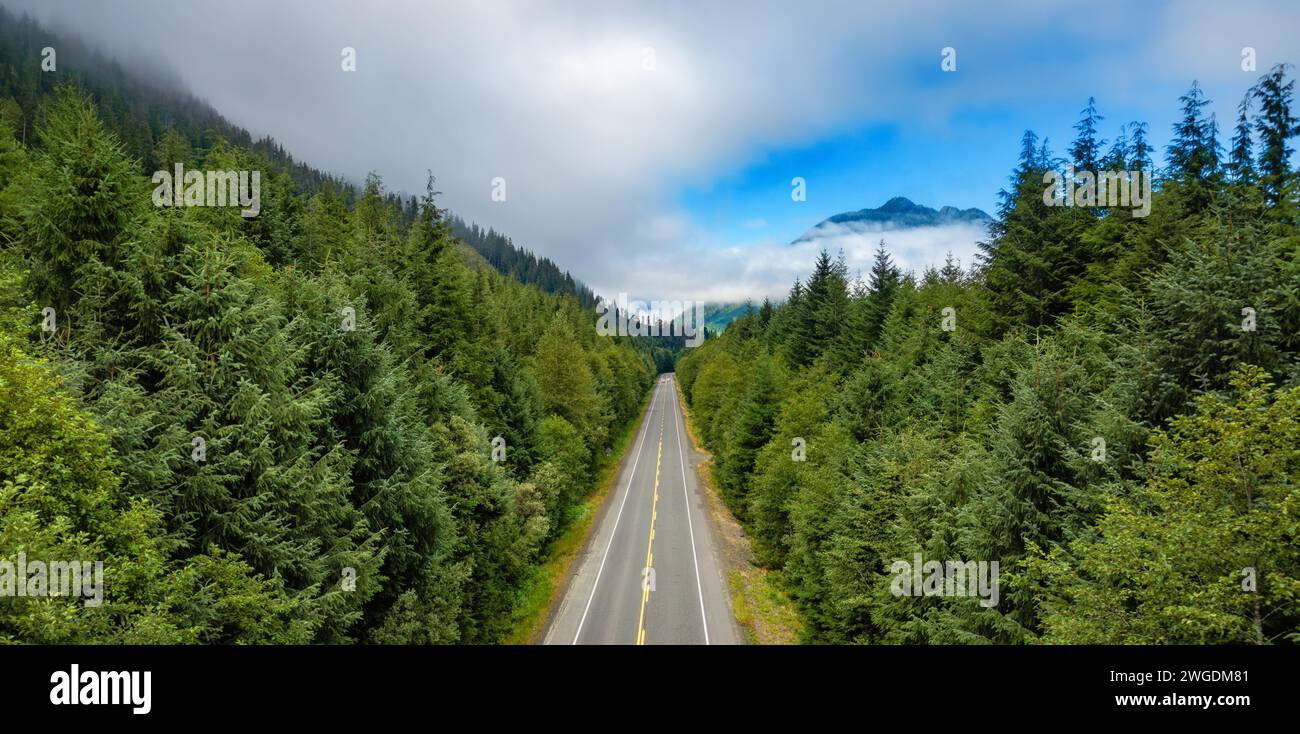 Autoroute à Vancouver Island, BC, Canada. Paysage naturel canadien. Vue aérienne Banque D'Images