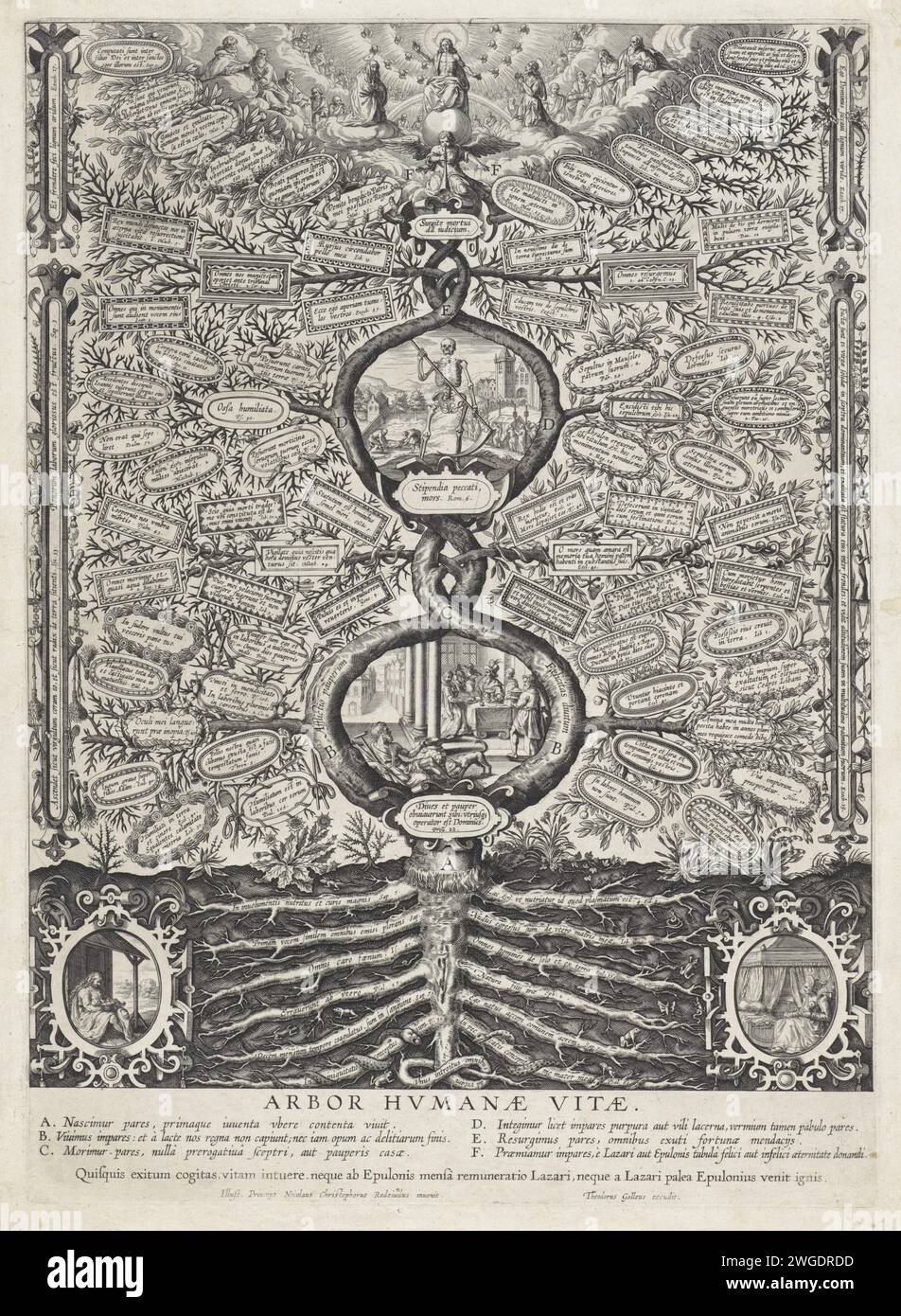 Arbre de vie, Anonyme, d'après Nicolaus Christophorus Radzivilus, 1595 - 1633 imprimer arbre de vie avec la parabole de l'homme riche et du pauvre Lazare. L'arbre montre différentes phases de la vie des pauvres et des riches, où certains moments sont égaux pour les deux - où le tronc se réunit - et d'autres pas. Aux racines (a) à gauche, un nouveau-né avec une famille pauvre et un bébé à droite avec une famille riche. Au début de la tribu (B), le mendiant lépreux Lazarus est près de l'homme riche et de sa compagnie à une table dressée. Les chiens lèchent les blessures de Lazarus. Au-dessus de cela (d) la mort avec les funérailles d'un pauvre Banque D'Images