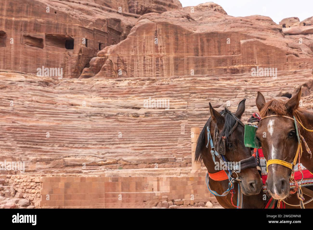 Des chevaux décorés attendent leurs touristes devant le théâtre du site archéologique de Pétra en Jordanie. Banque D'Images