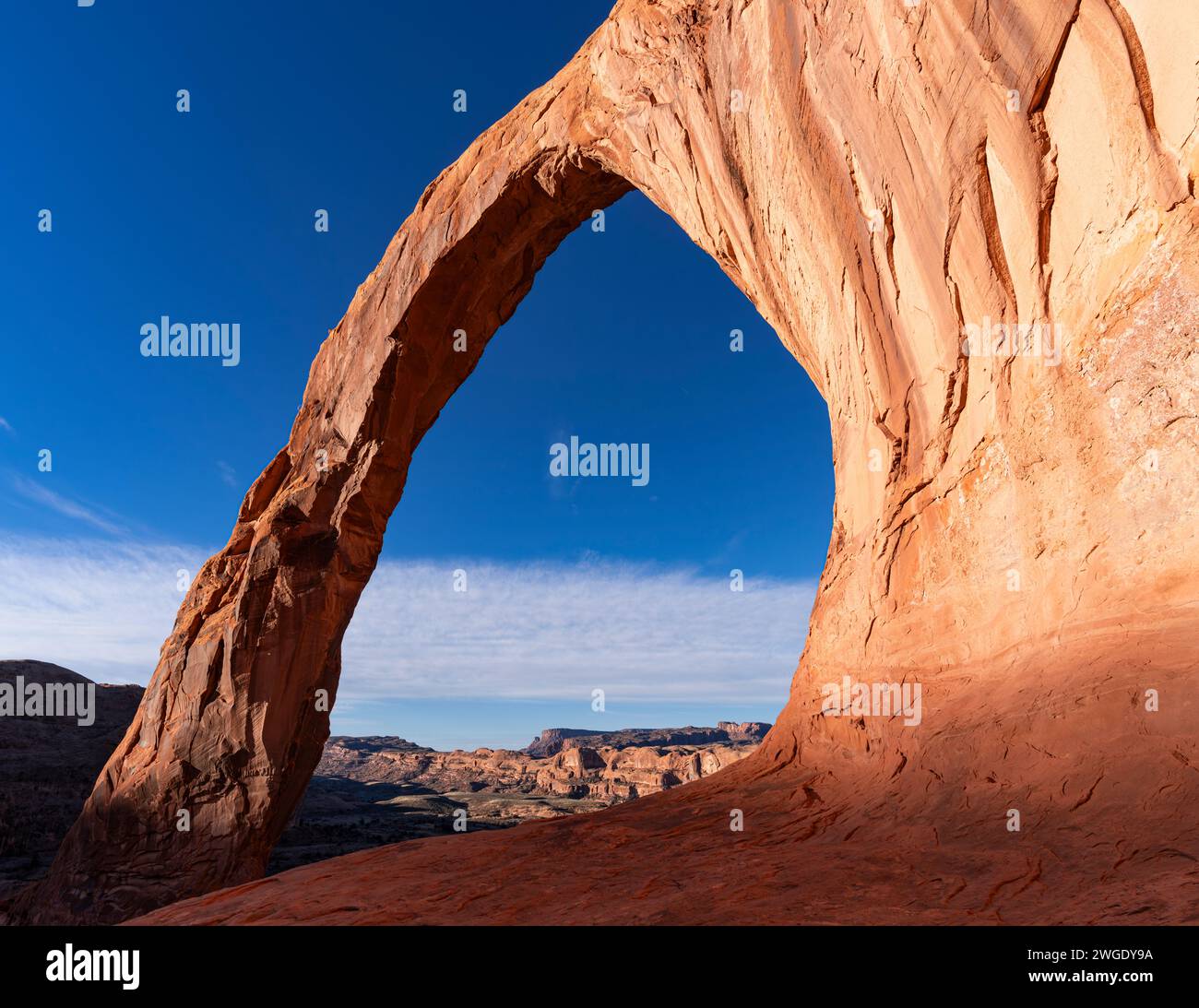 Corona Arch, une arche en grès naturel dans le Grand County Utah. Banque D'Images