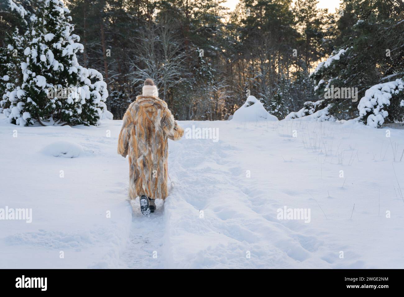 Une femme en promenade. Femme profitant d'une promenade dans le paysage d'hiver pendant le coucher du soleil. Paysage hivernal. Banque D'Images