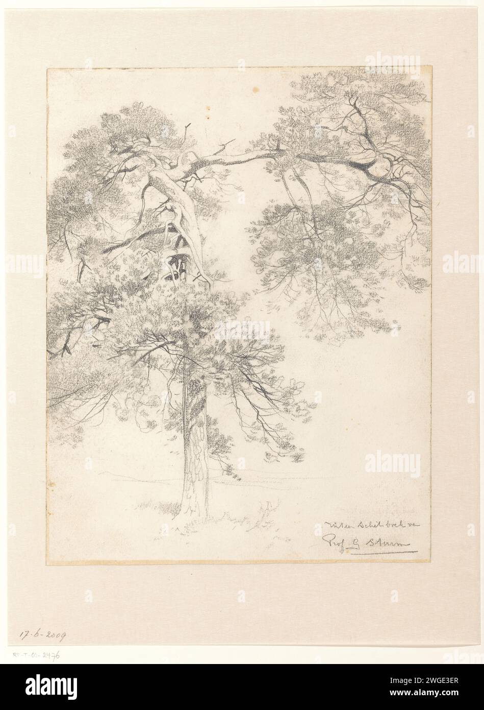 Étude de boom, Georg Sturm, 1865 - 1923 papier à dessin. craie Banque D'Images