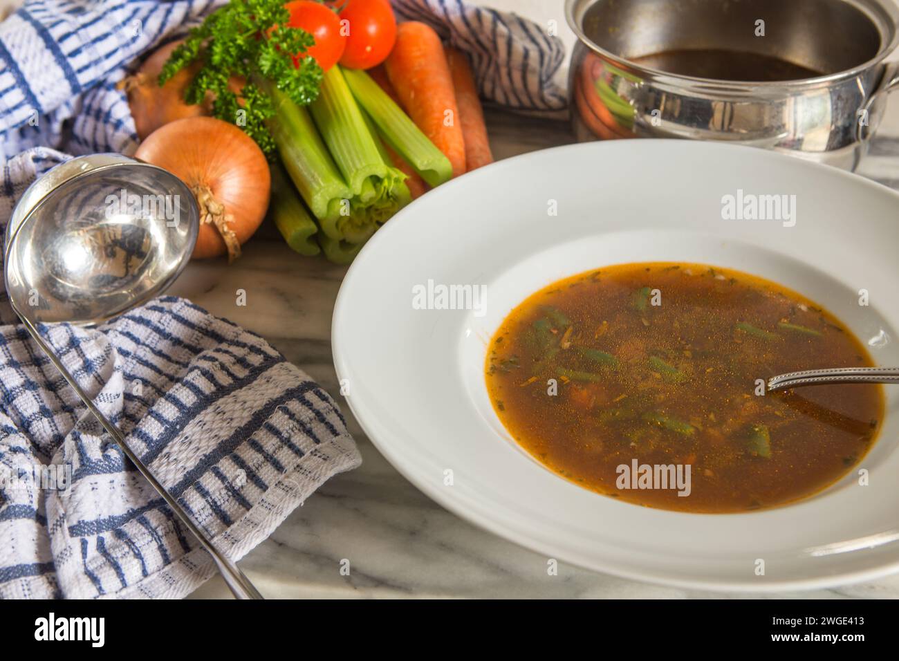 Soupe maison de bœuf frais et de légumes dans un bol à soupe blanche avec oignon frais, carottes, céleri, tomates, herbes et une casserole en acier inoxydable. Banque D'Images