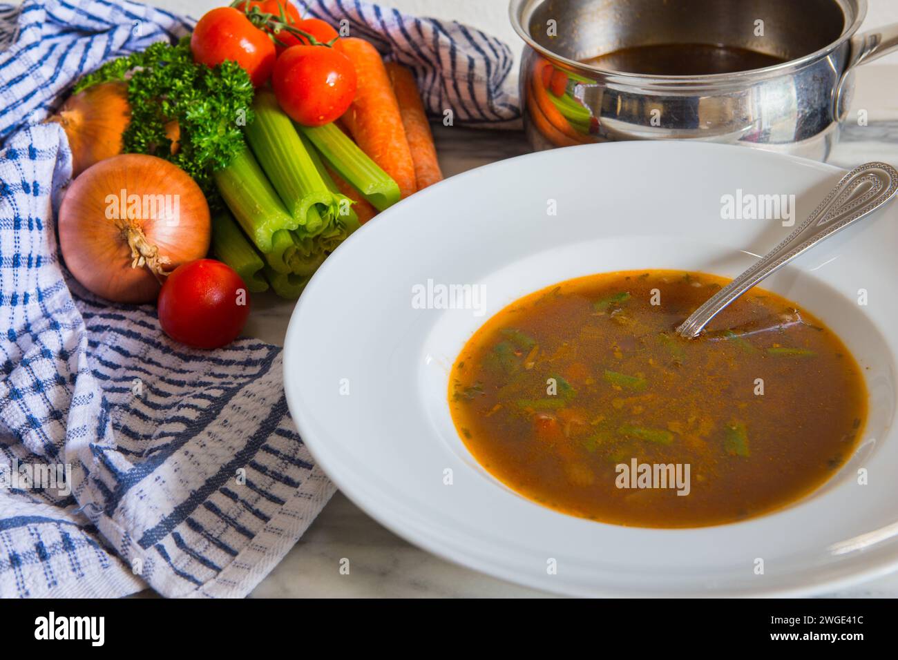 Soupe maison de bœuf frais et de légumes dans un bol à soupe blanche avec oignon frais, carottes, céleri, tomates, herbes et une casserole en acier inoxydable. Banque D'Images