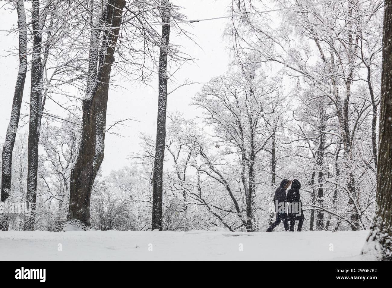 Couple marchant dans un parc d'hiver dans les chutes de neige tandis que les arbres sont couverts de givre de rhume. Arcadia Park, Riga, Lettonie, novembre 2023 Banque D'Images