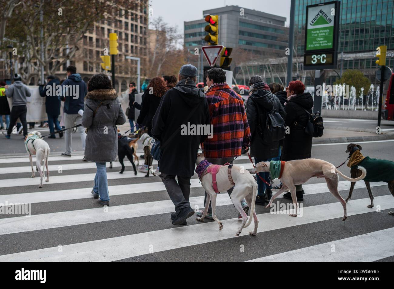 Des milliers de personnes manifestent en Espagne pour exiger la fin de la chasse aux chiens, Saragosse, Espagne Banque D'Images