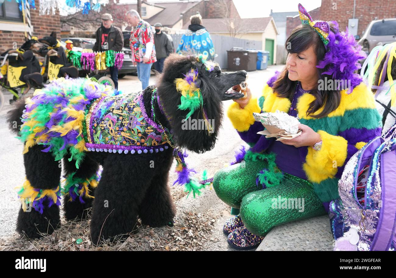 Prog Louis, États-Unis. 08th Feb, 2024. Melody Hubbard nourrit son caniche standard Lavande, une partie de son sandwich comme les deux en costume, attendre le début de la Parade annuelle Purina Pet dans le quartier Soulard à Louis le dimanche 4 février 2024. La Parade des animaux de compagnie permet à des centaines de personnes de promener leurs animaux de compagnie dans la parade, qui a lieu quelques jours avant la grande parade de mardi gras. Photo de Bill Greenblatt/UPI crédit : UPI/Alamy Live News Banque D'Images