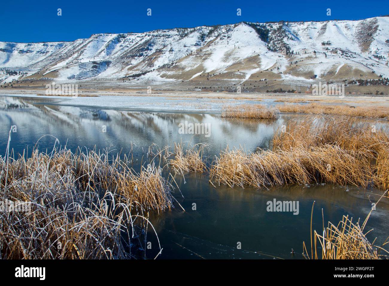 Étang de Rim d'hiver, été lac de faune, de l'Oregon Outback Scenic Byway, Oregon Banque D'Images