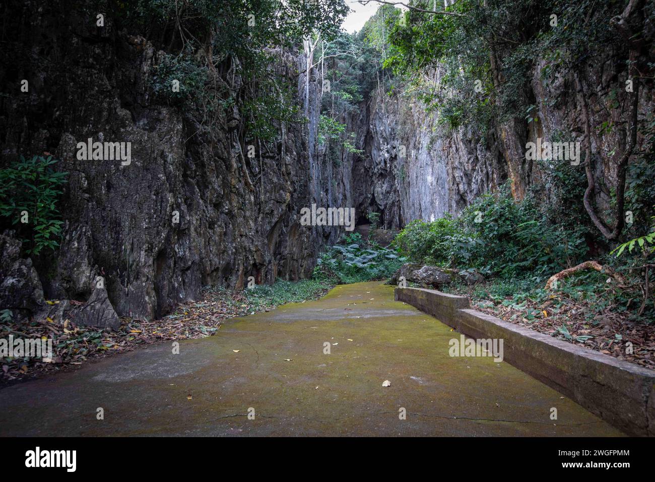 Mae SAI, Chiang Rai, Thaïlande. 17 janvier 2024. Chemin menant à une grotte au temple Wat Tham Pla. Wat Tham Pla (temple des poissons de grotte) est également appelé le ''temple des singes'' pour les habitants thaïlandais, situé à 16 kilomètres de Mae SAI, la ville la plus septentrionale de la Thaïlande. (Crédit image : © Guillaume Payen/SOPA images via ZUMA Press Wire) USAGE ÉDITORIAL SEULEMENT ! Non destiné à UN USAGE commercial ! Banque D'Images