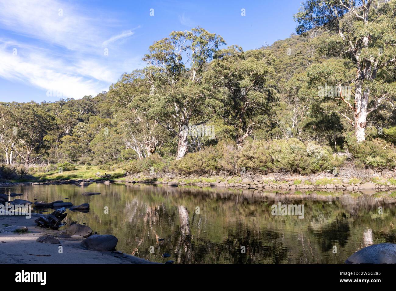 Rivière Snowy dans le parc national de Kosciusko Australie, jour d'été en 2024 avec ciel bleu et paysage alpin, près de Perisher, Nouvelle-Galles du Sud Banque D'Images